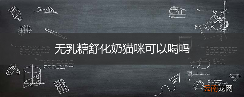 无乳糖舒化奶猫咪可以喝吗