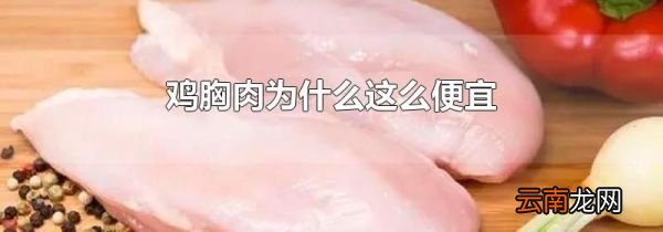 鸡胸肉为什么这么便宜