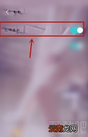 vivo NEX设置允许接收钉钉通知的方法