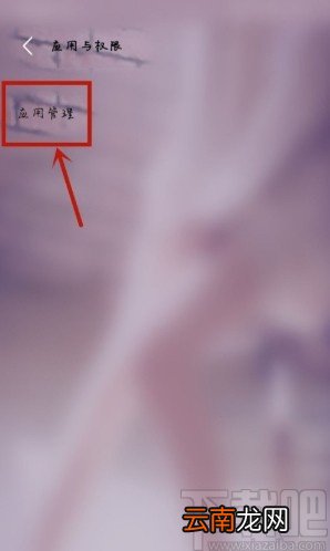 vivo NEX设置允许接收钉钉通知的方法