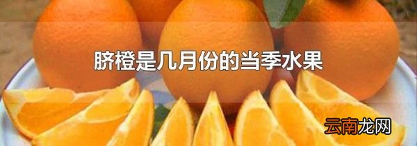 脐橙是几月份的当季水果
