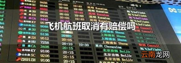 飞机航班取消有赔偿吗