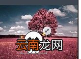 连我相机详细使用步骤介绍