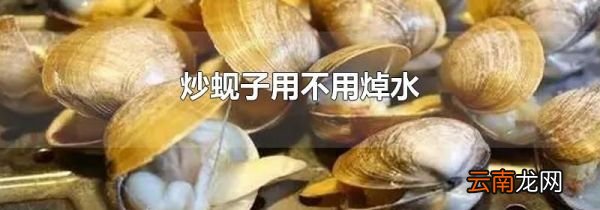 炒蚬子用不用焯水