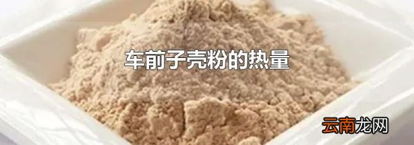 车前子壳粉的热量