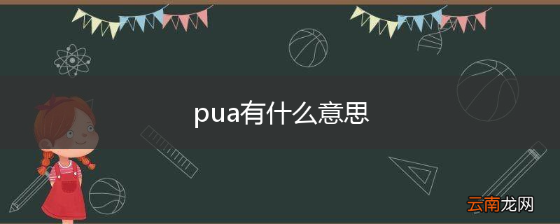 pua有什么意思