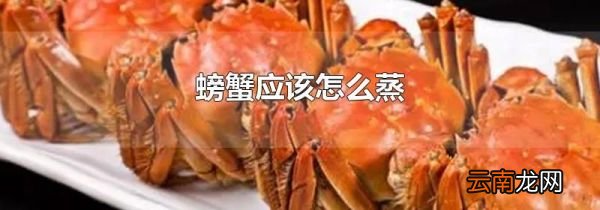 螃蟹应该怎么蒸