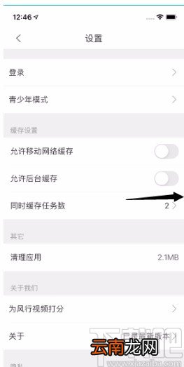 风行视频APP开启允许后台缓存的方法