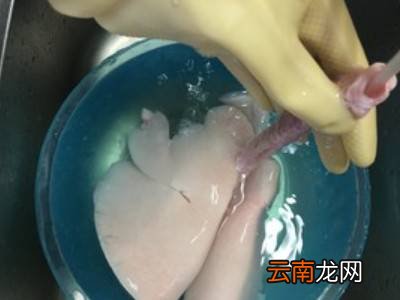 羊肺怎么处理