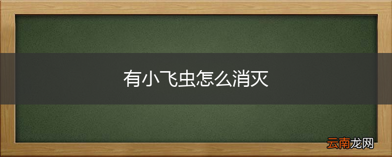 有小飞虫怎么消灭