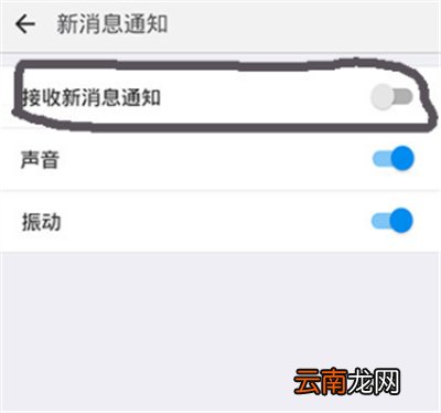 vivo手机钉钉为什么没有提示音