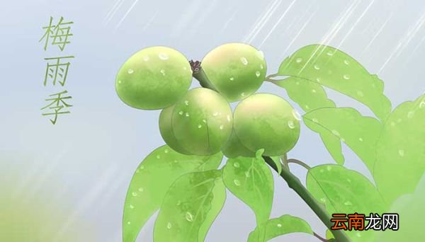 什么时候出梅 出梅的时间是什么时候