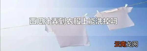 西瓜汁弄到衣服上能洗掉吗