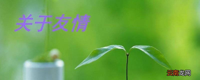 一起变美下一句是什么