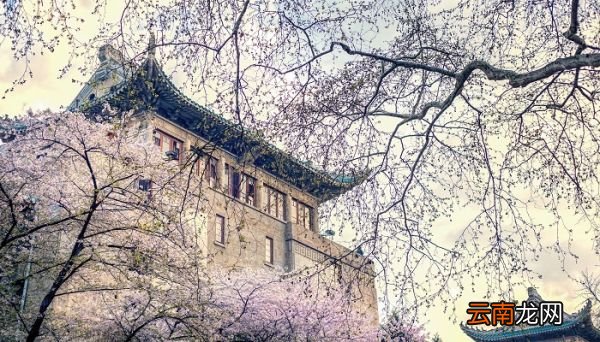 武汉大学优势专业排名 武汉大学优势专业排名有什么