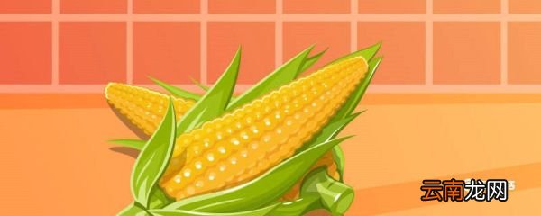 煮玉米用开水还是冷水 煮玉米用开水还是冷水合适