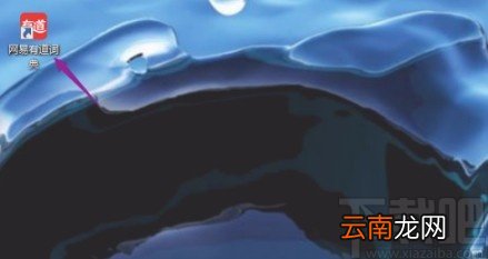 网易有道词典APP进行意见反馈的方法