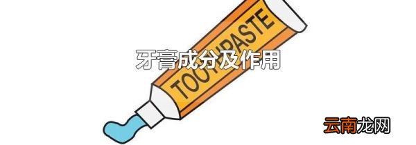 牙膏成分及作用