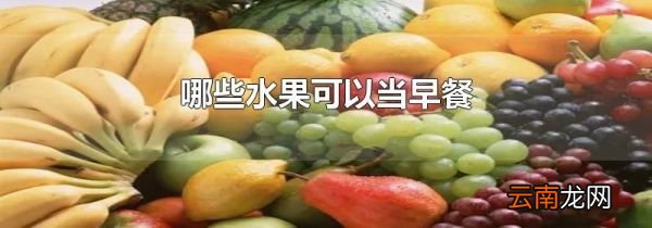 哪些水果可以当早餐