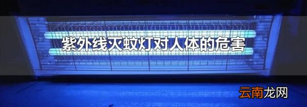 紫外线灭蚊灯对人体的危害