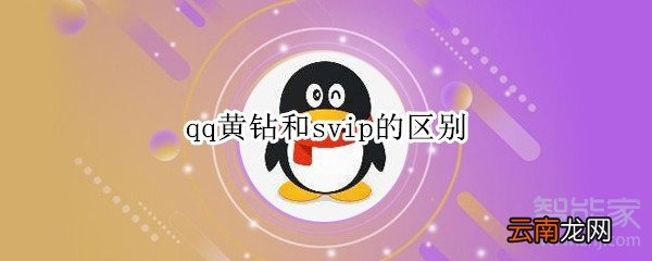 qq黄钻和svip的区别