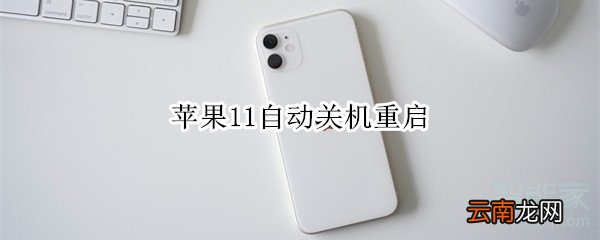 苹果11自动关机重启