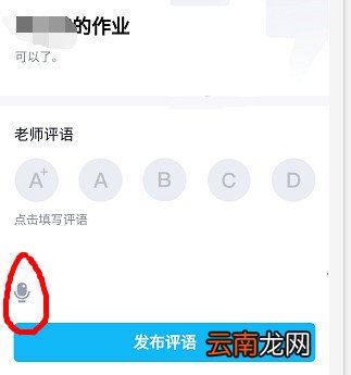 qq群作业老师怎么批阅