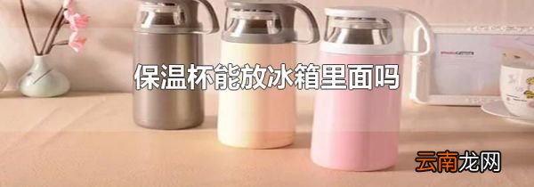 保温杯能放冰箱里面吗