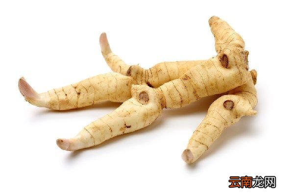 九华黄精的功效与作用 九华黄精的功效