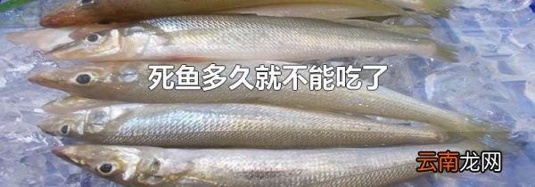 死鱼多久就不能吃了