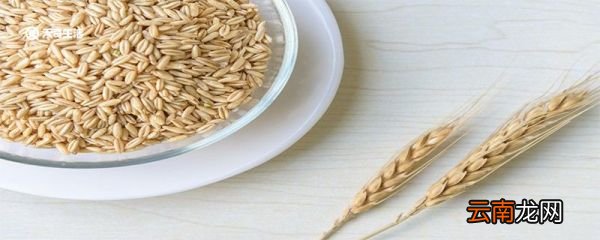馓子是哪里的特产 馓子简介