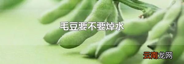 毛豆要不要焯水