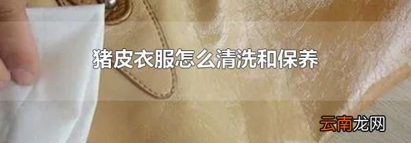 猪皮衣服怎么清洗和保养
