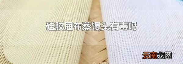 硅胶屉布蒸馒头有毒吗