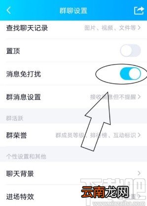 手机QQ设置群消息免打扰的方法