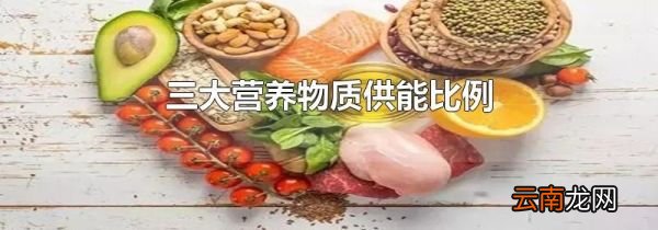三大营养物质供能比例