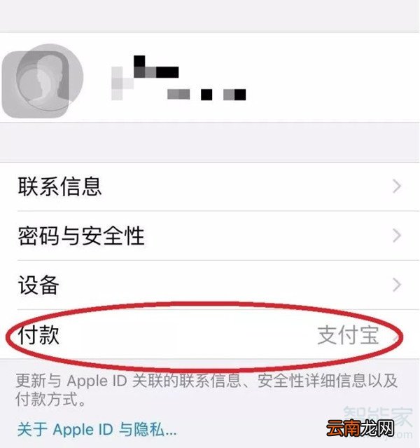 苹果付款方式设置打不开