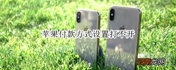 苹果付款方式设置打不开