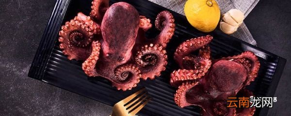 冰冻小墨鱼仔怎么清洗 冰冻墨鱼仔的清洗方法