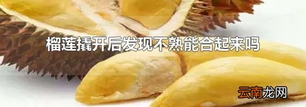 榴莲撬开后发现不熟能合起来吗