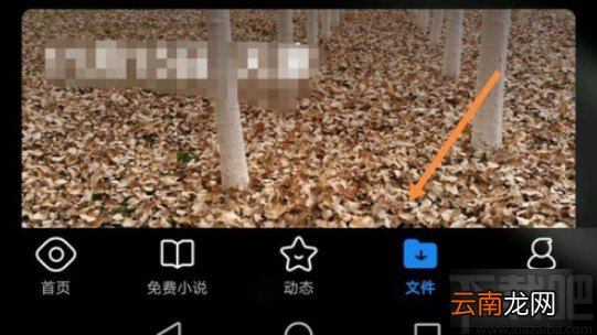 QQ浏览器APP将文档转为长图的方法