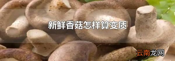 新鲜香菇怎样算变质