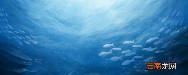世界上海拔最低的湖泊是什么 世界上海拔最低的湖泊是