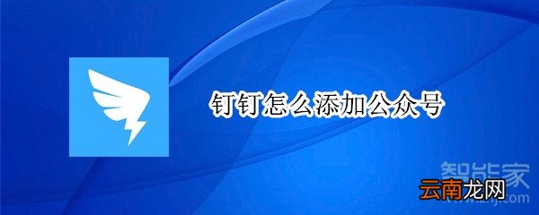 钉钉怎么添加公众号