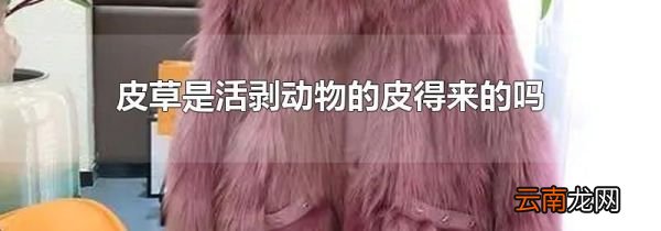 皮草是活剥动物的皮得来的吗