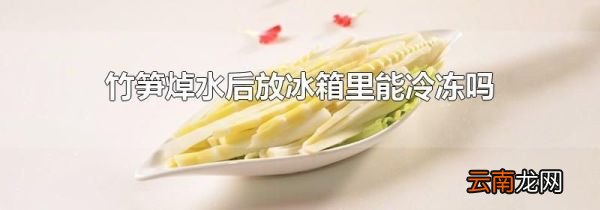 竹笋焯水后放冰箱里能冷冻吗