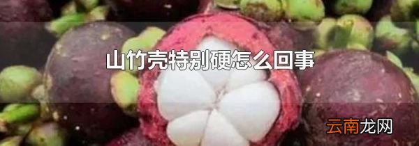 山竹壳特别硬怎么回事