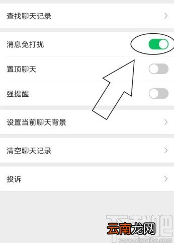 微信APP设置好友消息免打扰的方法
