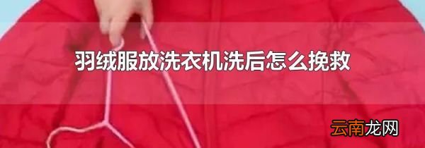 羽绒服放洗衣机洗后怎么挽救