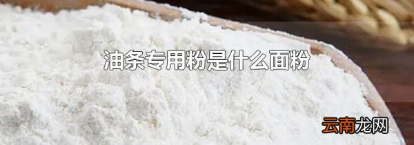 油条专用粉是什么面粉